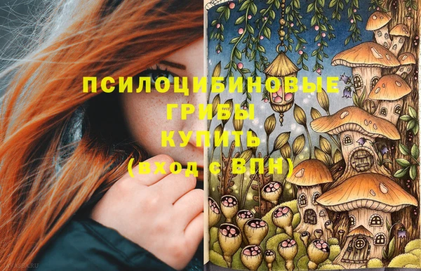 герыч Лиски