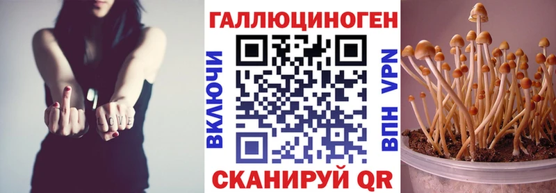Псилоцибиновые грибы мухоморы  сколько стоит  omg tor  Макаров 